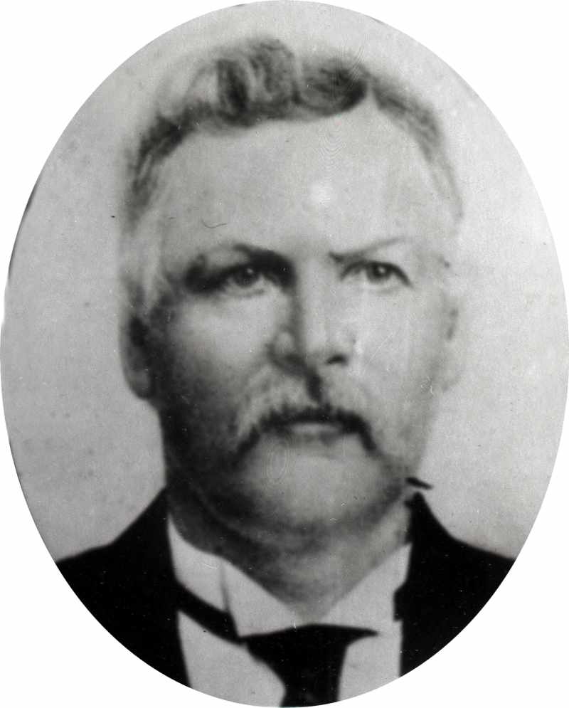Henry Davis Reese (1837 - 1908) Profile